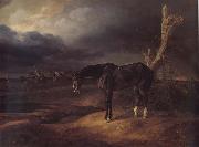 A gentleman loose horse on the battlefield of Borodino 1812, Adam Albrecht